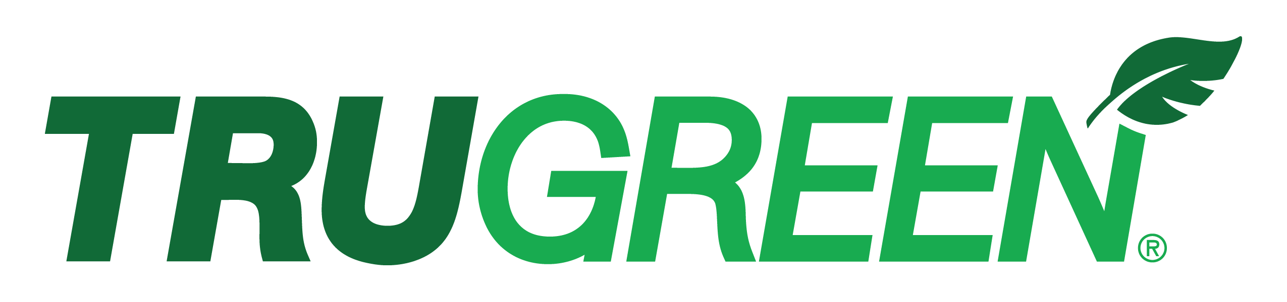 TruGreen logo — Lawn Care Services fleet customer of OTC Fleet Services